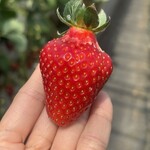 姫路ハートフル観光農園 - 