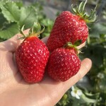 姫路ハートフル観光農園 - 