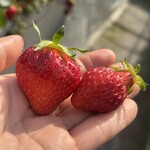 姫路ハートフル観光農園 - 