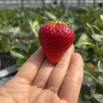 姫路ハートフル観光農園 - 