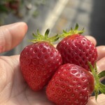 姫路ハートフル観光農園 - 