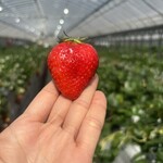 姫路ハートフル観光農園 - 