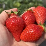 姫路ハートフル観光農園 - 