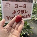 姫路ハートフル観光農園 - 