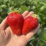 姫路ハートフル観光農園 - 