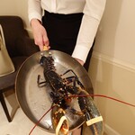 293013811 - ブルターニュ産ブルーオマール