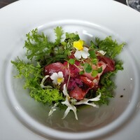 International cuisine subzero - 