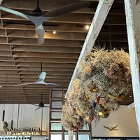Botanico扇町公園 - 