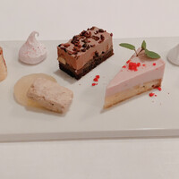 サーラ アマービレ - 