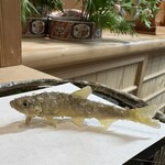 293020984 - 天竜川の稚鮎の天ぷら　まるで生きてる感じ！