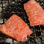 炭火焼肉 ひびの亭 - 