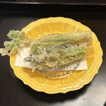 よし町 - ⑬山菜天ぷら（タラの芽、うど）