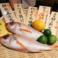 魚の中俣 銀座 - 