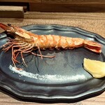 動悸 - 特大海老