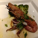 オルティージャ - 