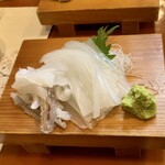 大こう - ヤリイカ