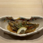 新宿 鮨 はつめ - 