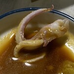 おさしみの店 魚七 - やりいかゲソ