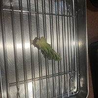 てんぷら石原 - 