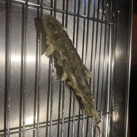てんぷら石原 - 