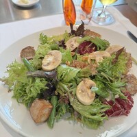 Benoit Alain Ducasse - 