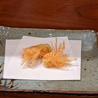 天冨良 よこ田 - 