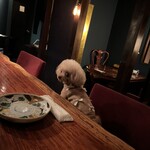 牡蠣と肉 あざぶいろは - 