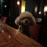 牡蠣と肉 あざぶいろは - 