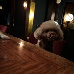 牡蠣と肉 あざぶいろは - 