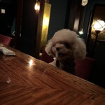 牡蠣と肉 あざぶいろは - 