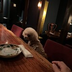 牡蠣と肉 あざぶいろは - 