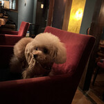 牡蠣と肉 あざぶいろは - 