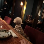 牡蠣と肉 あざぶいろは - 