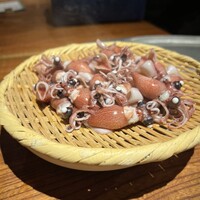 マキノンチ - 