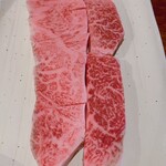 たかおか魚苑 - 