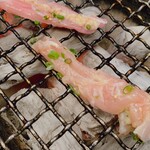 たかおか魚苑 - 