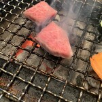 たかおか魚苑 - 