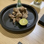 鴨ときどき馬 - 