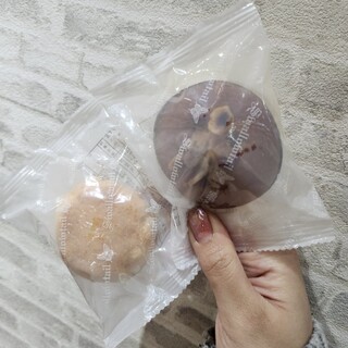 スワロウテイル_1