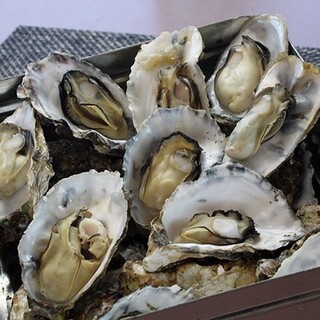 지역 특산물: 적야만 굴 & 우라마을 굴의 강강구이!