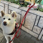 ムーンカフェ - 