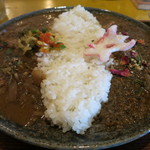 curry bar nidomi - ２種類のカレー　正面