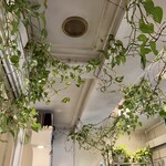 プティジュール - 昔からずっとポトスがいる。