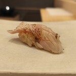 THE SUSHI NAGOYA 海 KAI - 