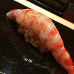 鮨 とかみ - 車海老