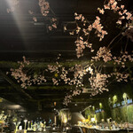 花のある棲家 - 