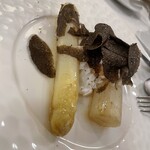 ドンナセルバティカ - 