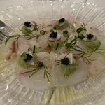 ドンナセルバティカ - 