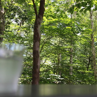 八ヶ岳倶楽部_2