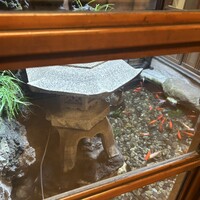 ぼたん - 